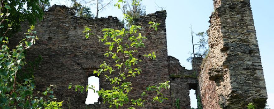 Burgruine Schwarzau