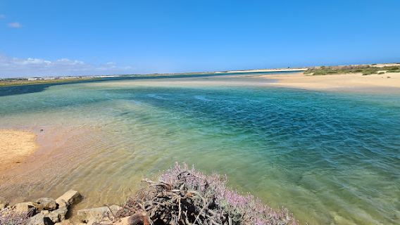 Praia dos Tesos