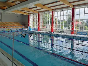 Basen Miejskiego Ośrodka Sportu i Rekreacji