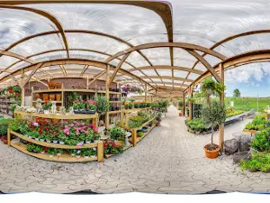 Rångedala Plantskola