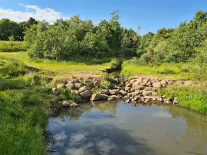 엘리번 공원