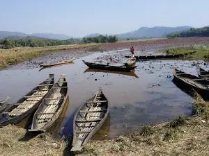 Dibir Hawor Lily Lake