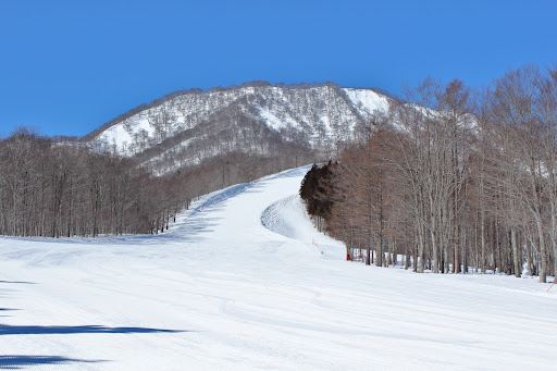 Compare 5 airports near Ichinoseki