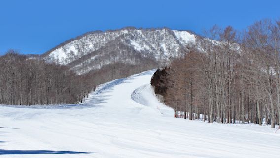 Matsurube Snowland