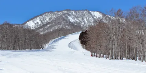 Matsurube Snowland