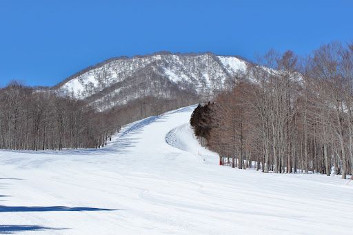 Matsurube Snowland