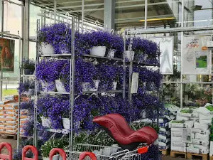 Plantasjen