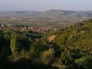 Alibeyli Belediyesi