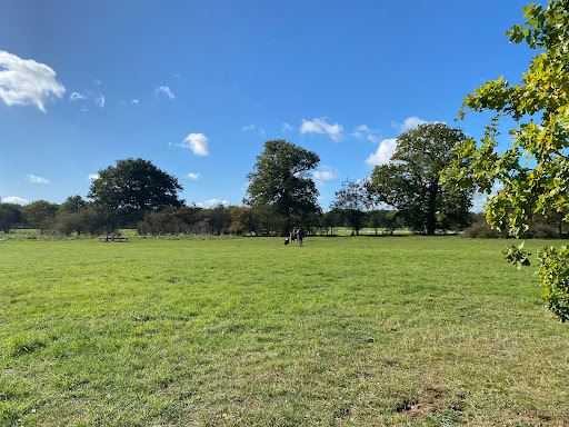 Ferry Meadows Caravan and Motorhome Club Campsite