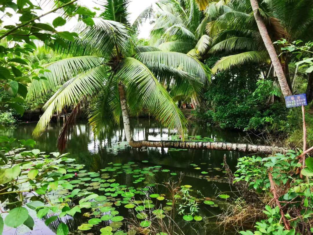 Baoquanling Botanical Garden
