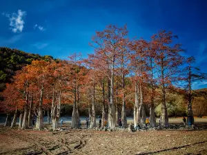 Park V Sukko