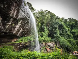 Pha Luang Waterfall Forest Park