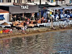 Tanz Disco