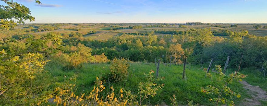 Coteau des Treilles