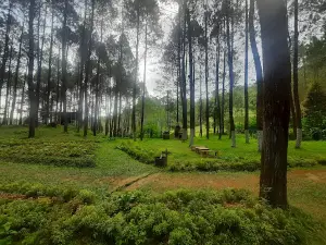 Wisat Alam Curug Sinom Indah Kalibening