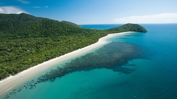 Daintree Rainforest Tours - Best Cape Tribulation Tours