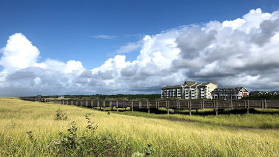 Gray Whale Sculpture
