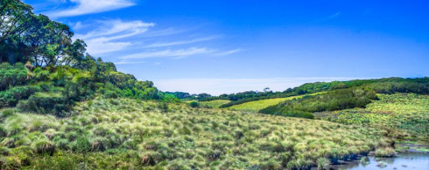 Aberdare Range