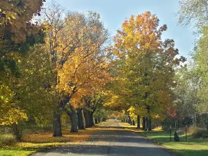 River Oaks County Park
