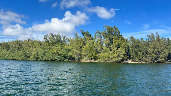 Sandy Beach at Oleta River State Park