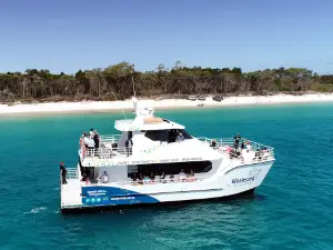 Whalesong Cruises Hervey Bay