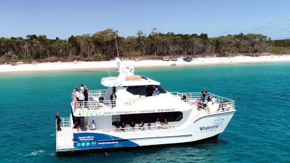 Whalesong Cruises Hervey Bay