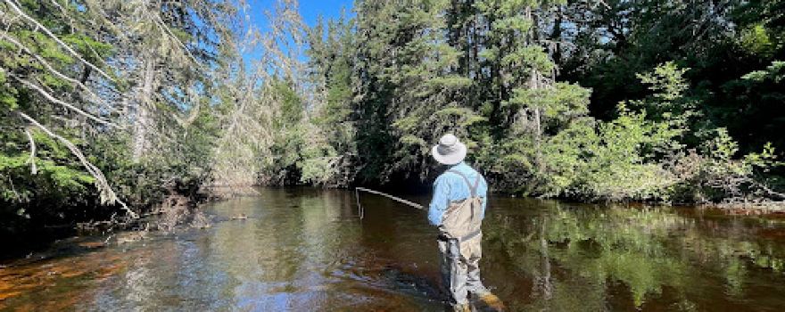 Fly Fish PEI