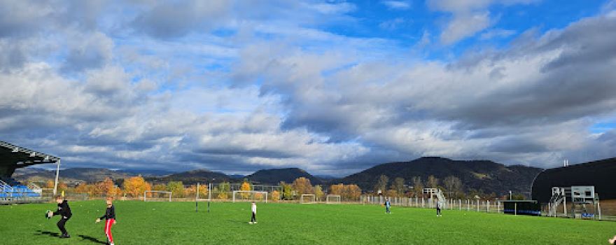 Stadionul Central (Recea)