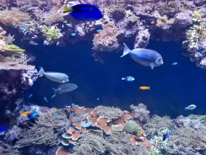 National Aquarium Denmark