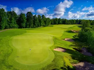 Treetops Resort