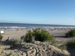 Pinar del Norte