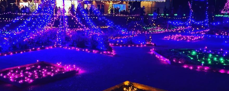 Powell Gardens