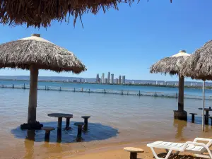Ilha Canela