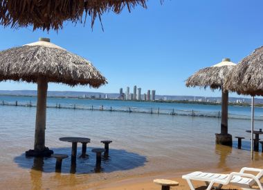 Palmas