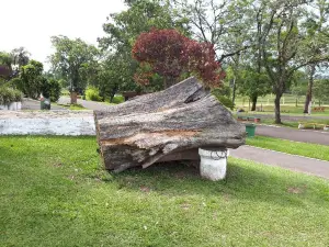 Parque Centenario Municipal Erni Carlos Heller