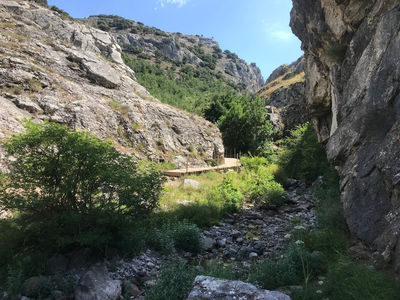 Faedo De Ciñera
