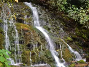 Mingo Falls