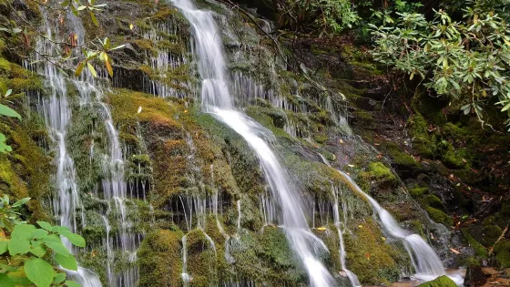 Mingo Falls