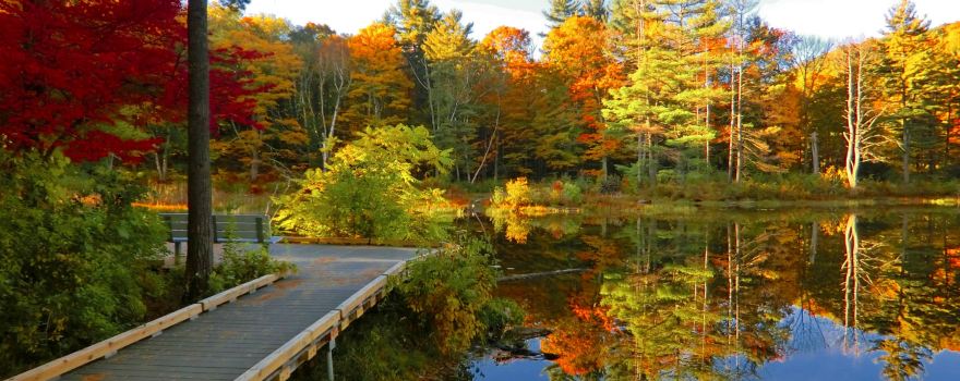 Mass Audubon's Pleasant Valley Wildlife Sanctuary