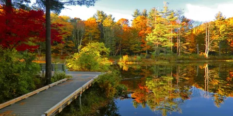 Pleasant Valley Sanctuary