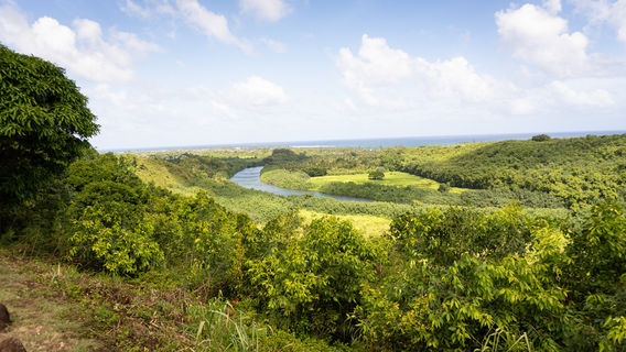Ho'opi'i Falls