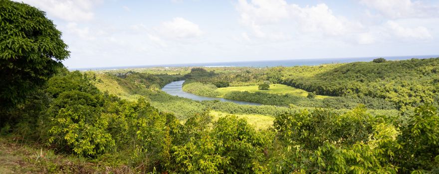 Ho'opi'i Falls
