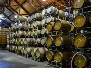 Firestone Vineyard