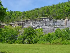 Wild Bill's Outfitter