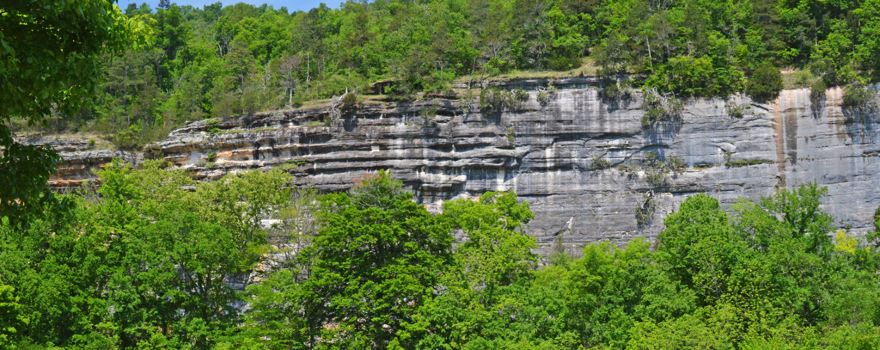 Wild Bill's Outfitter