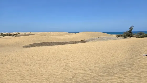 馬斯帕洛馬斯海灘
