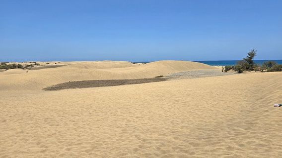 Playa de Maspalomas