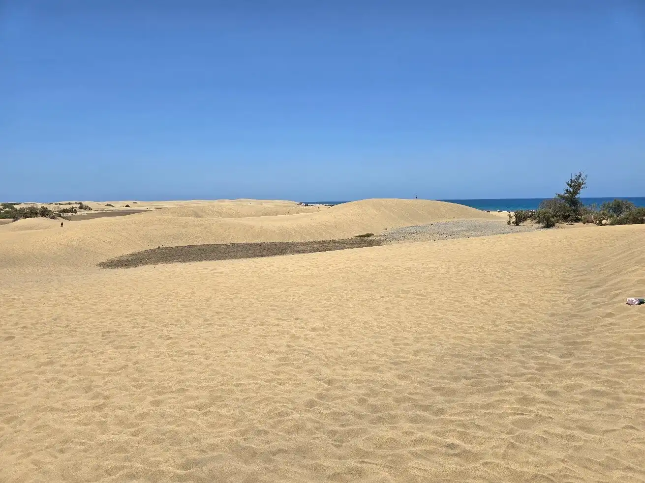 Hotels near Playa de Maspalomas