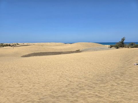 馬斯帕洛馬斯海灘
