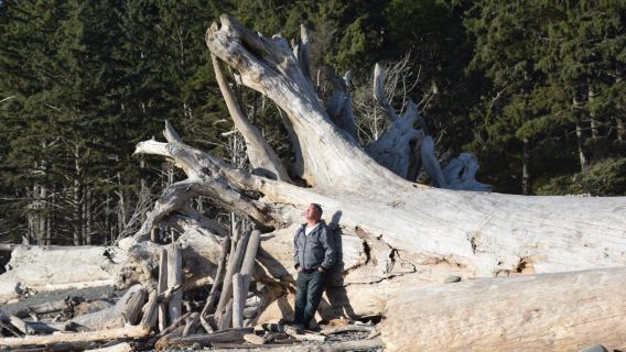 Rialto Beach